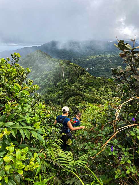Grenada nature