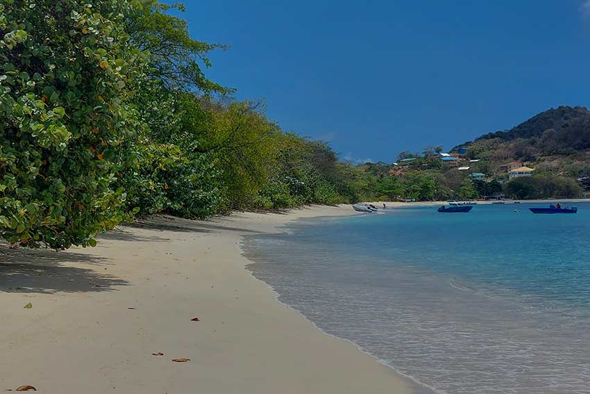 Grenada sailing base