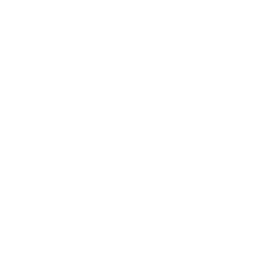 Island Dreams